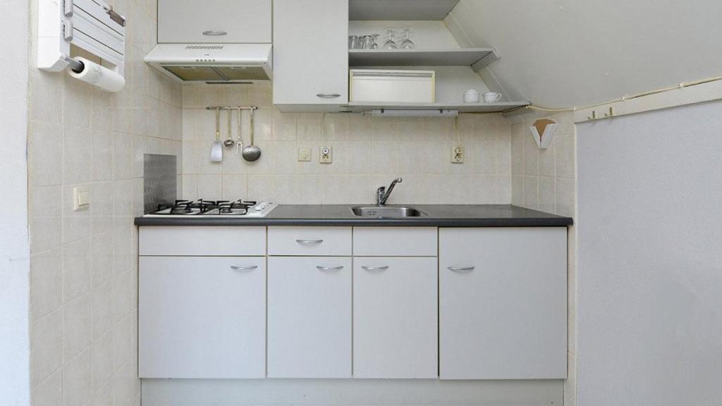 Vrijstaande Woning Te Vlagtweddeヴィラ エクステリア 写真